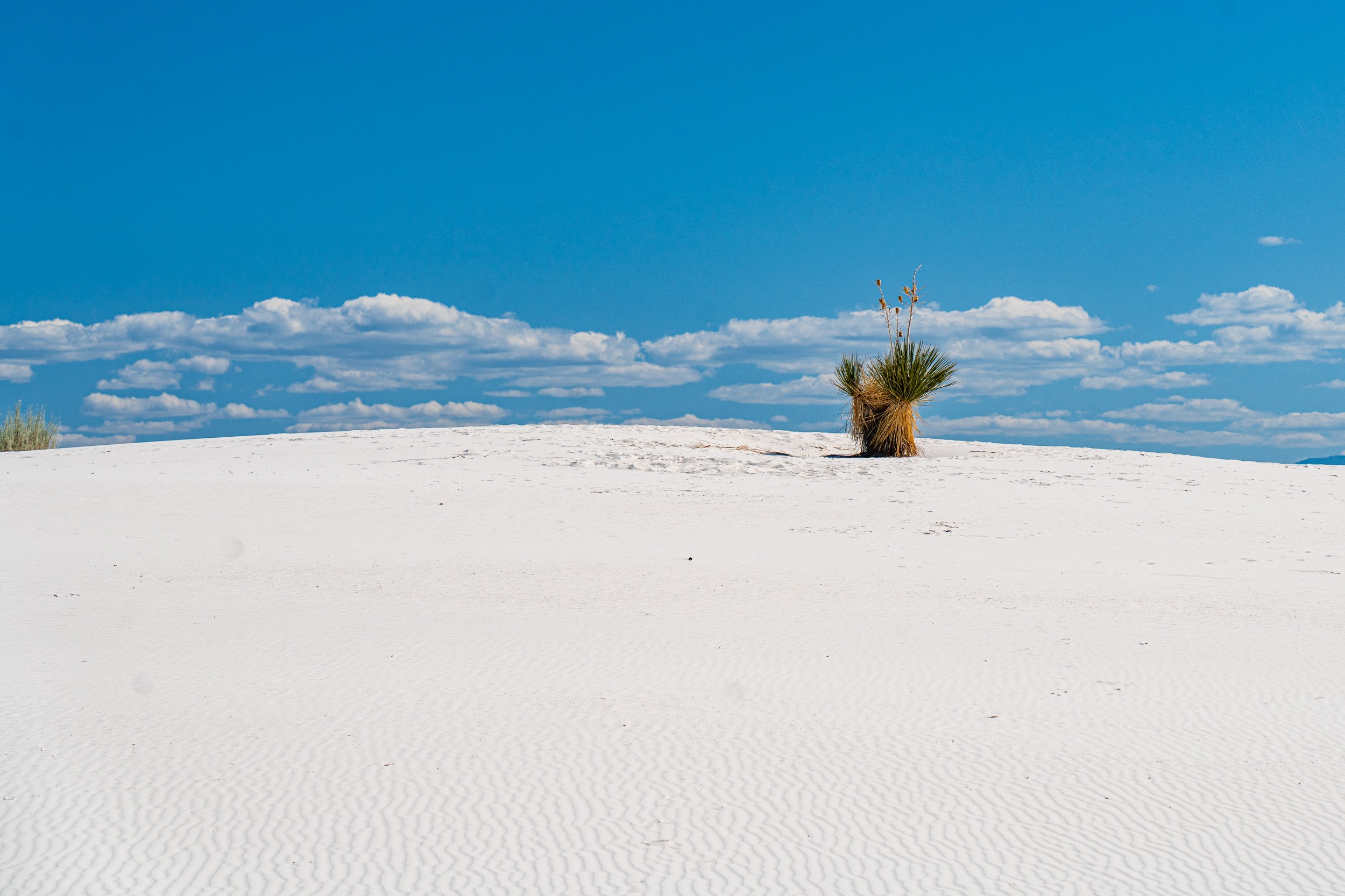 USA 2024 5 Sterne 61